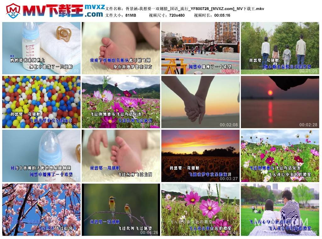 胥景涵-我想要一双翅膀_国语_流行_YF800728